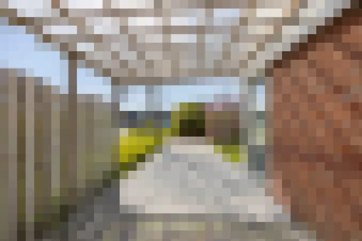 Langs de Lijn 104 Bedum thumbnail 9