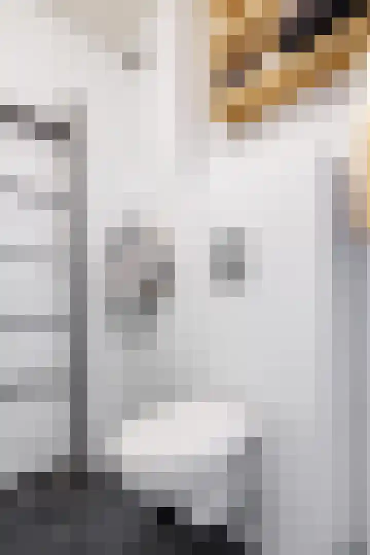 Langs de Wal 13 Wijk bij Duurstede thumbnail 28