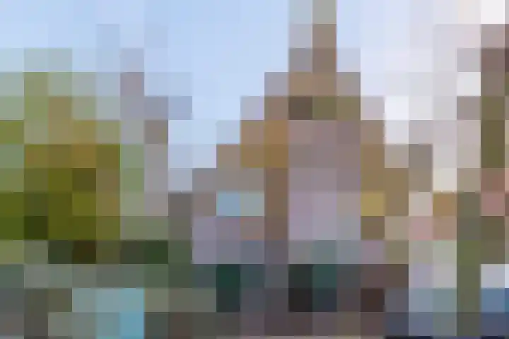 Langs de Wal 13 Wijk bij Duurstede thumbnail 40
