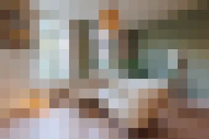 Langs de Wal 13 Wijk bij Duurstede thumbnail 5
