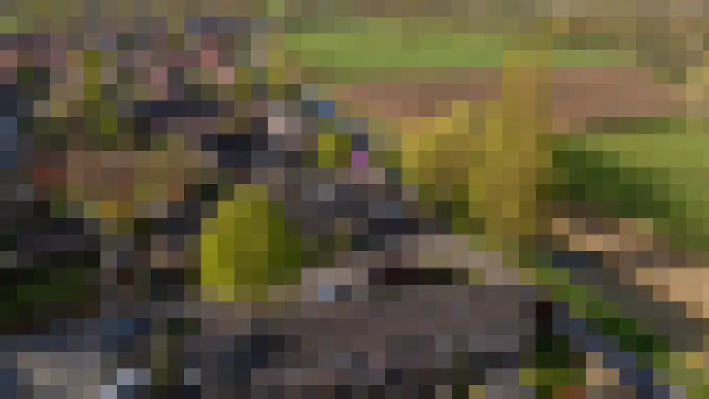 Langs de Wetering 11 in Diepenveen