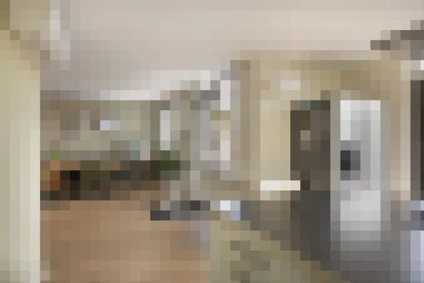 Langs de Wetering 11 Diepenveen thumbnail 10