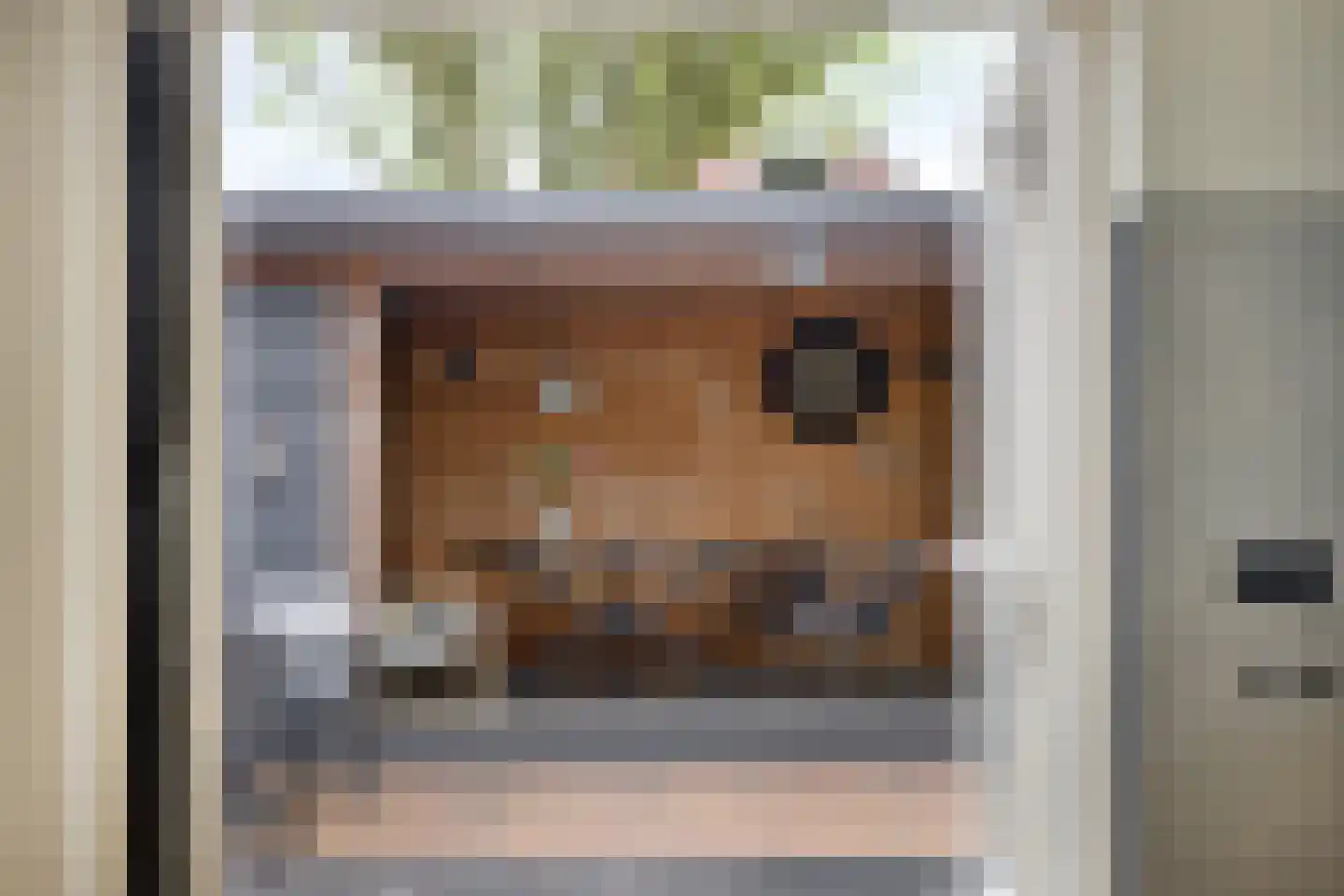 Langs de Wetering 11 Diepenveen thumbnail 14