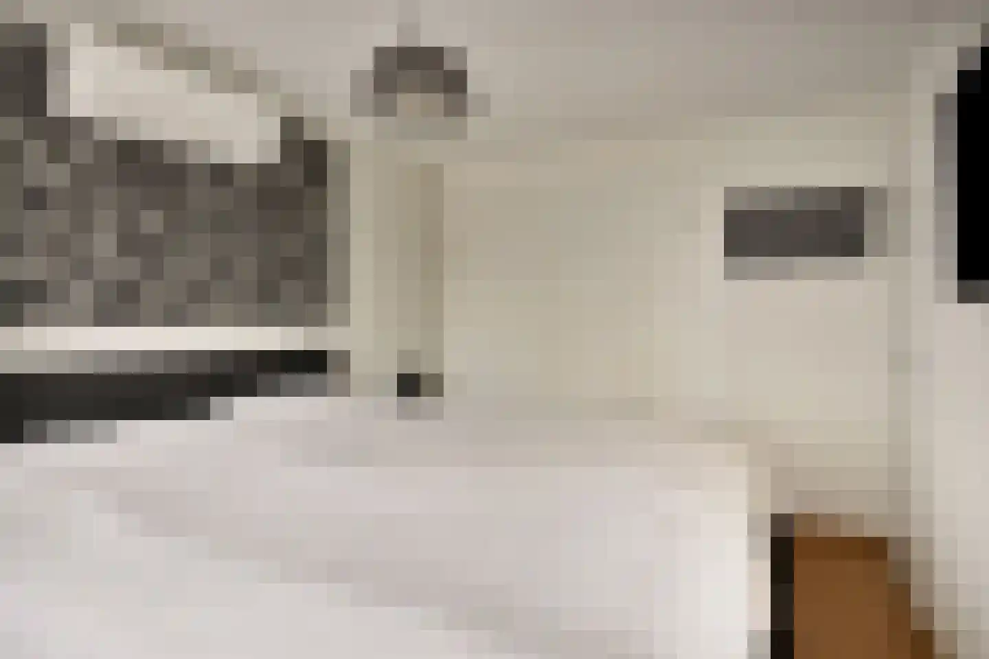 Langs de Wetering 11 Diepenveen thumbnail 17