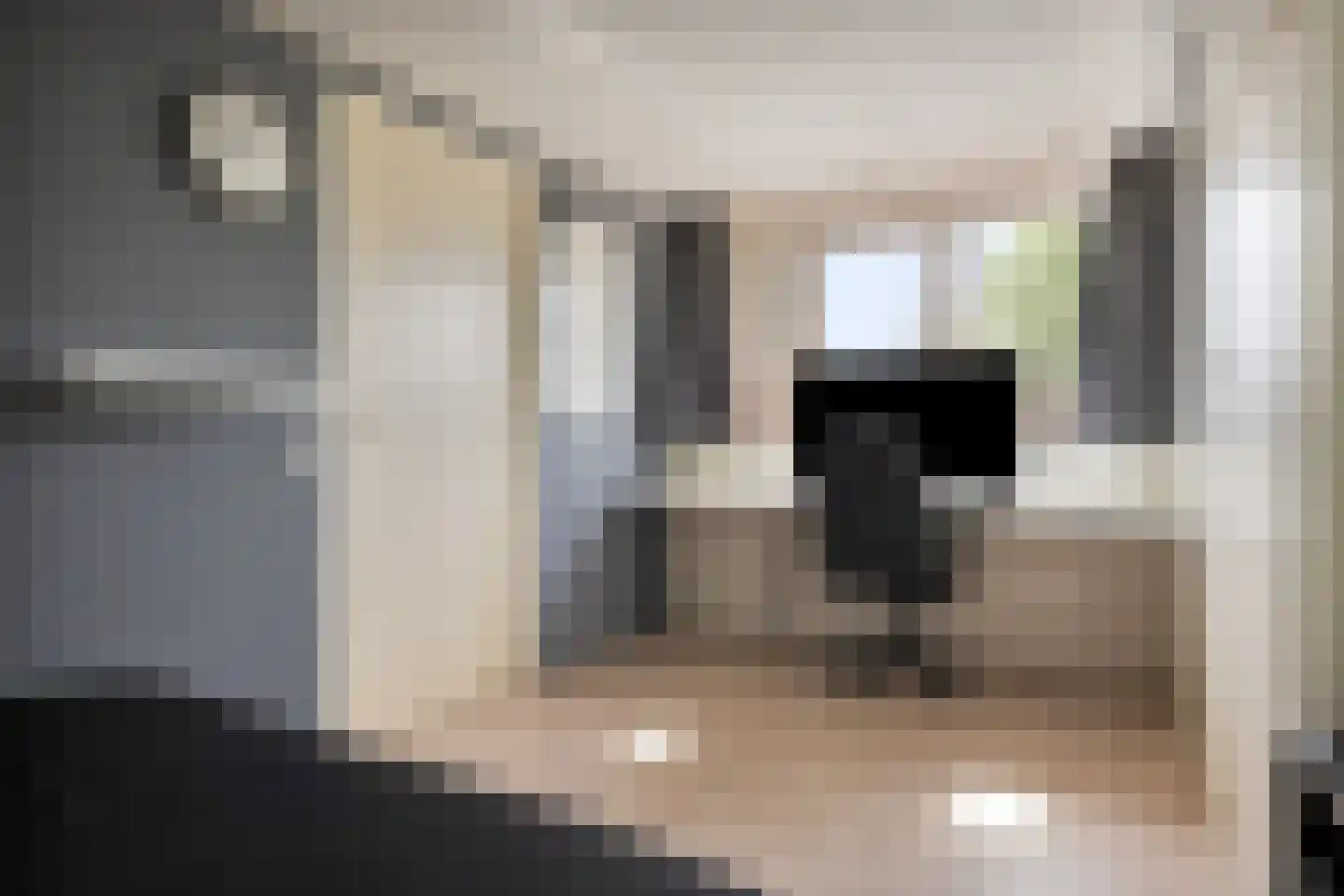 Langs de Wetering 11 Diepenveen thumbnail 27