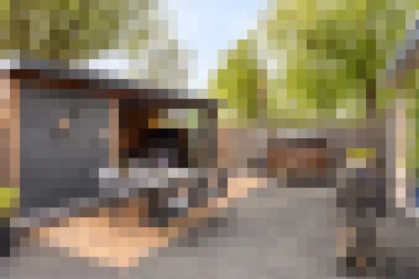 Langs de Wetering 11 Diepenveen thumbnail 30