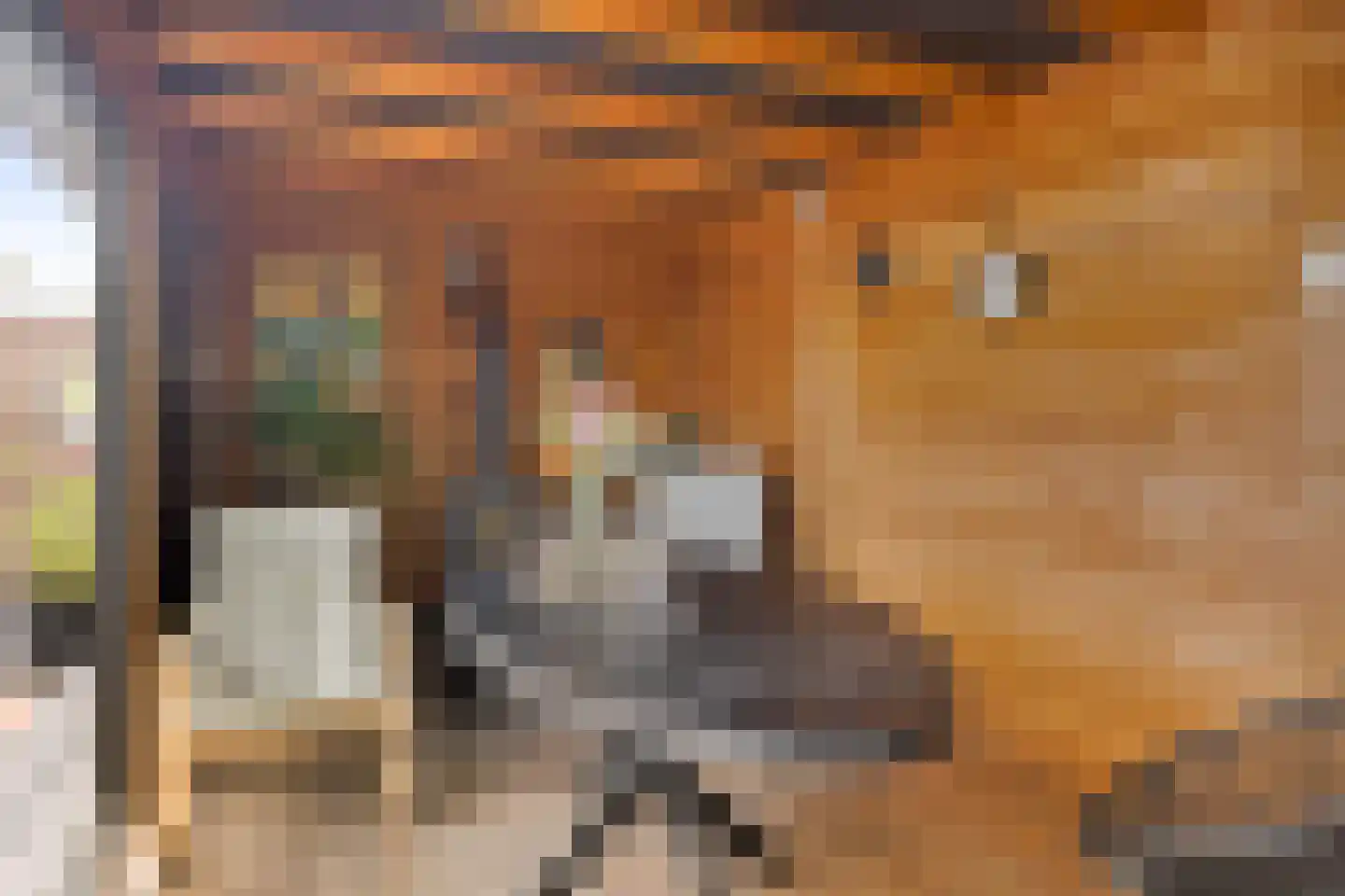 Langs de Wetering 11 Diepenveen thumbnail 31