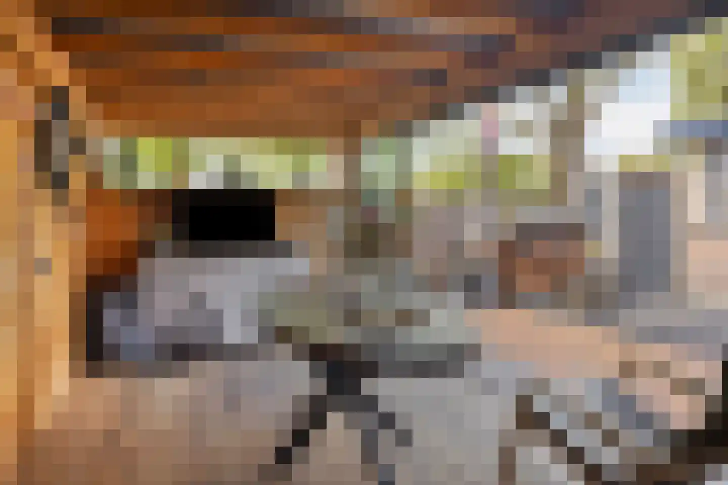 Langs de Wetering 11 Diepenveen thumbnail 32