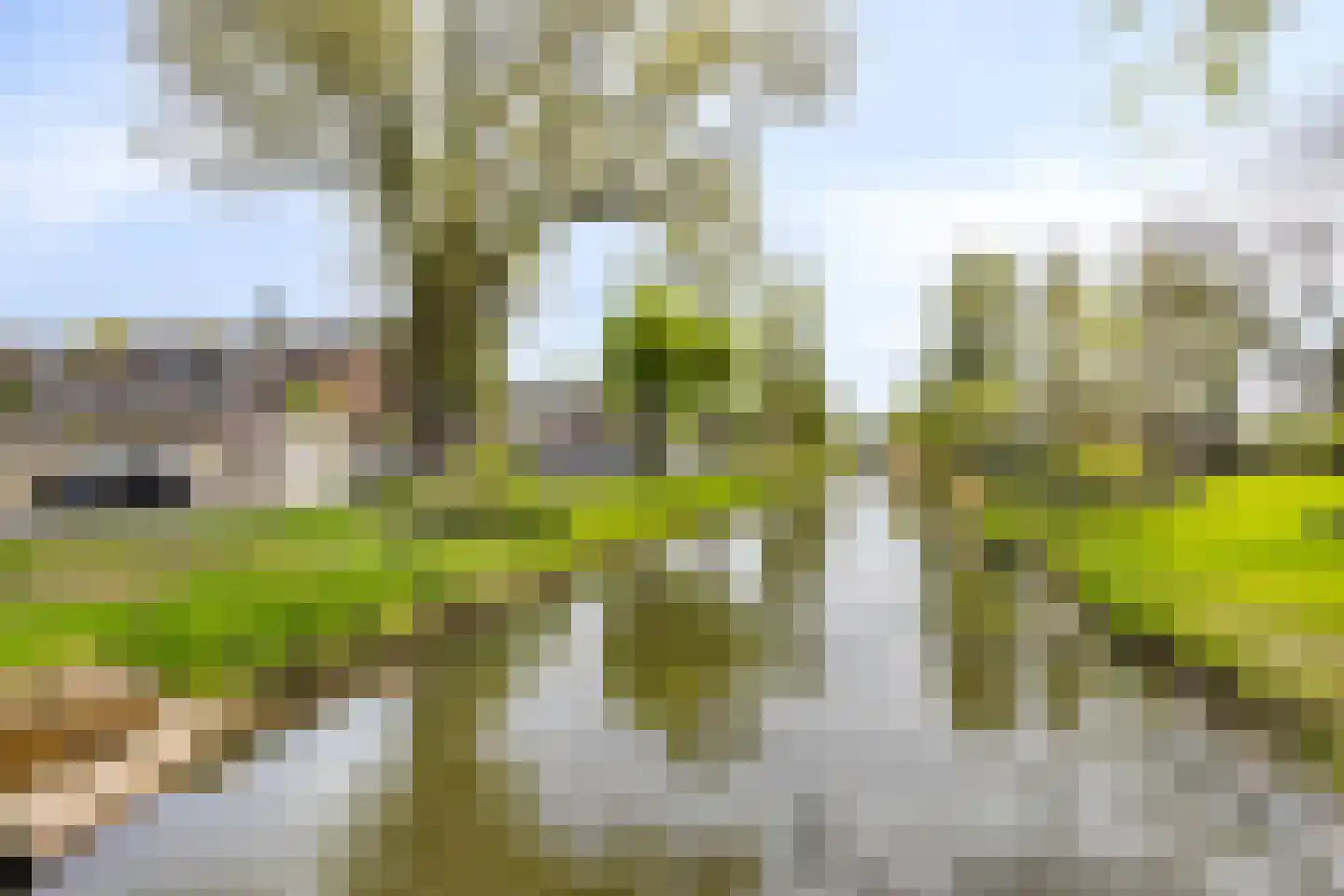 Langs de Wetering 11 Diepenveen thumbnail 38