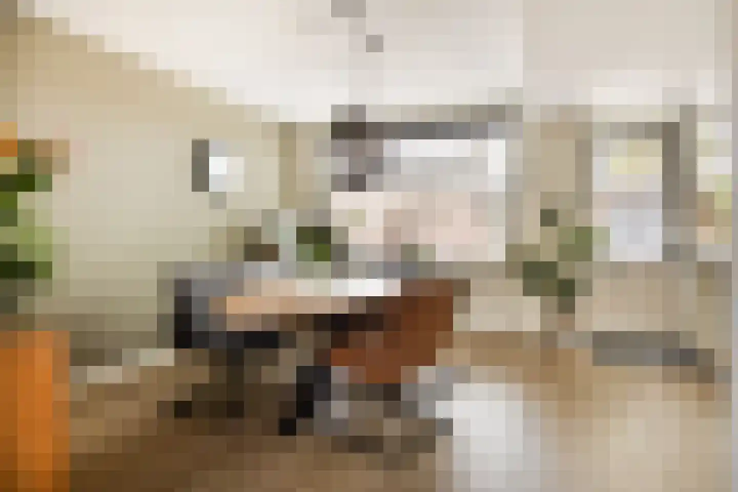 Langs de Wetering 11 Diepenveen thumbnail 7