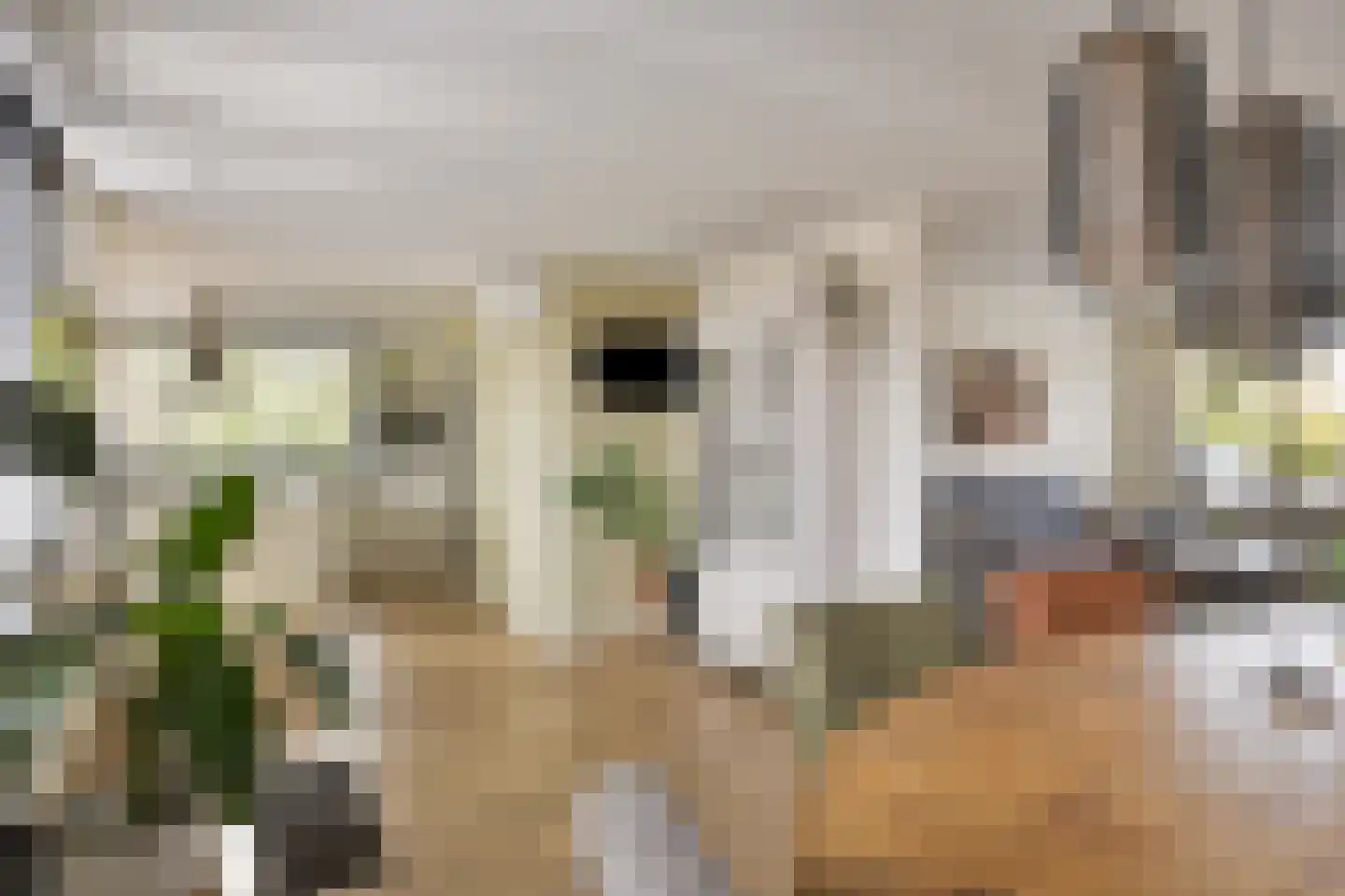 Langs de Wetering 11 Diepenveen thumbnail 8
