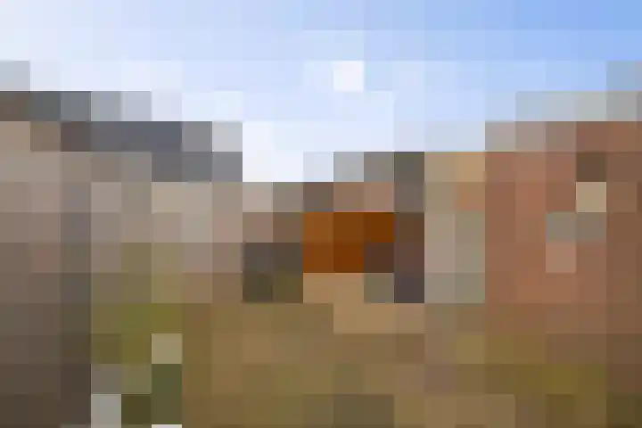 Langs de Wetering 28 Diepenveen thumbnail 21