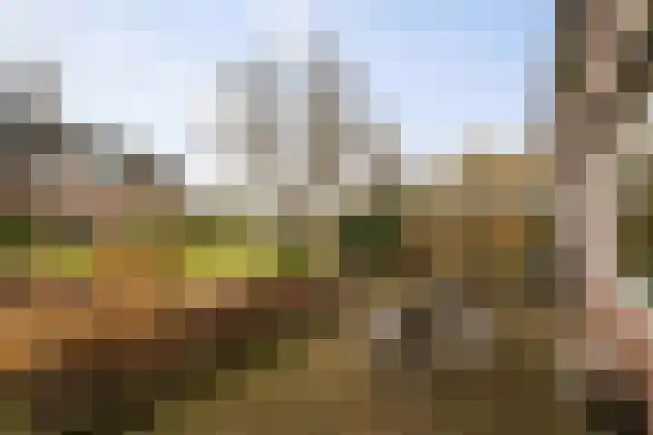 Langs de Wetering 28 Diepenveen thumbnail 25