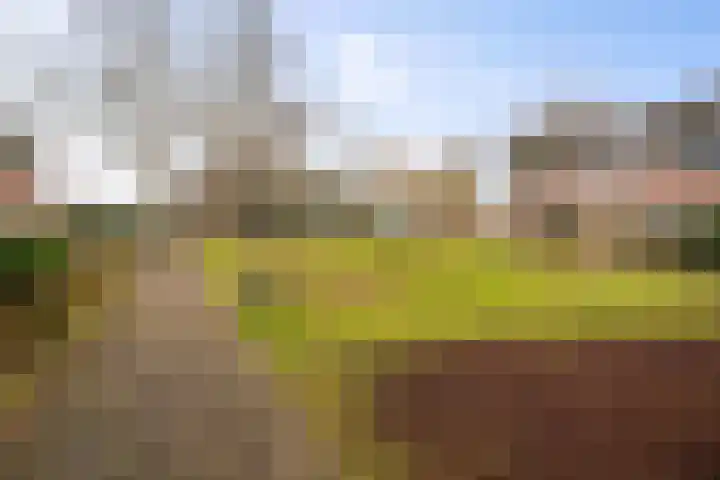 Langs de Wetering 28 Diepenveen thumbnail 26