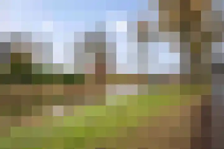 Langs de Wetering 28 Diepenveen thumbnail 27