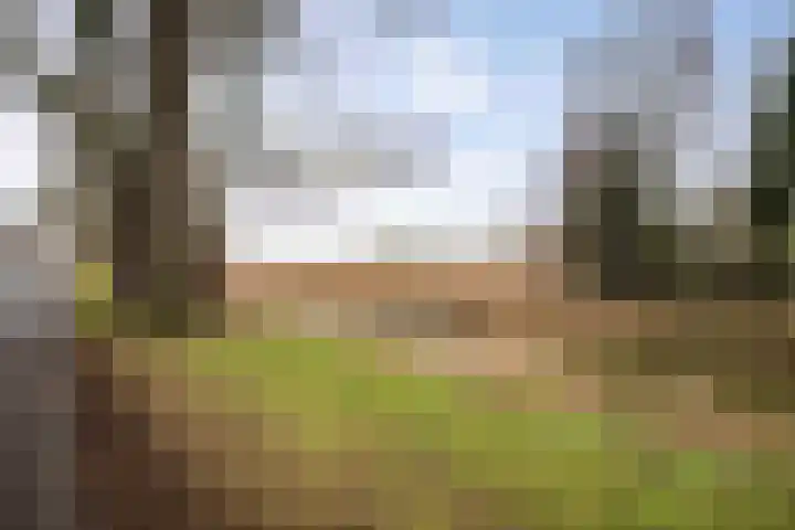Langs de Wetering 28 Diepenveen thumbnail 28