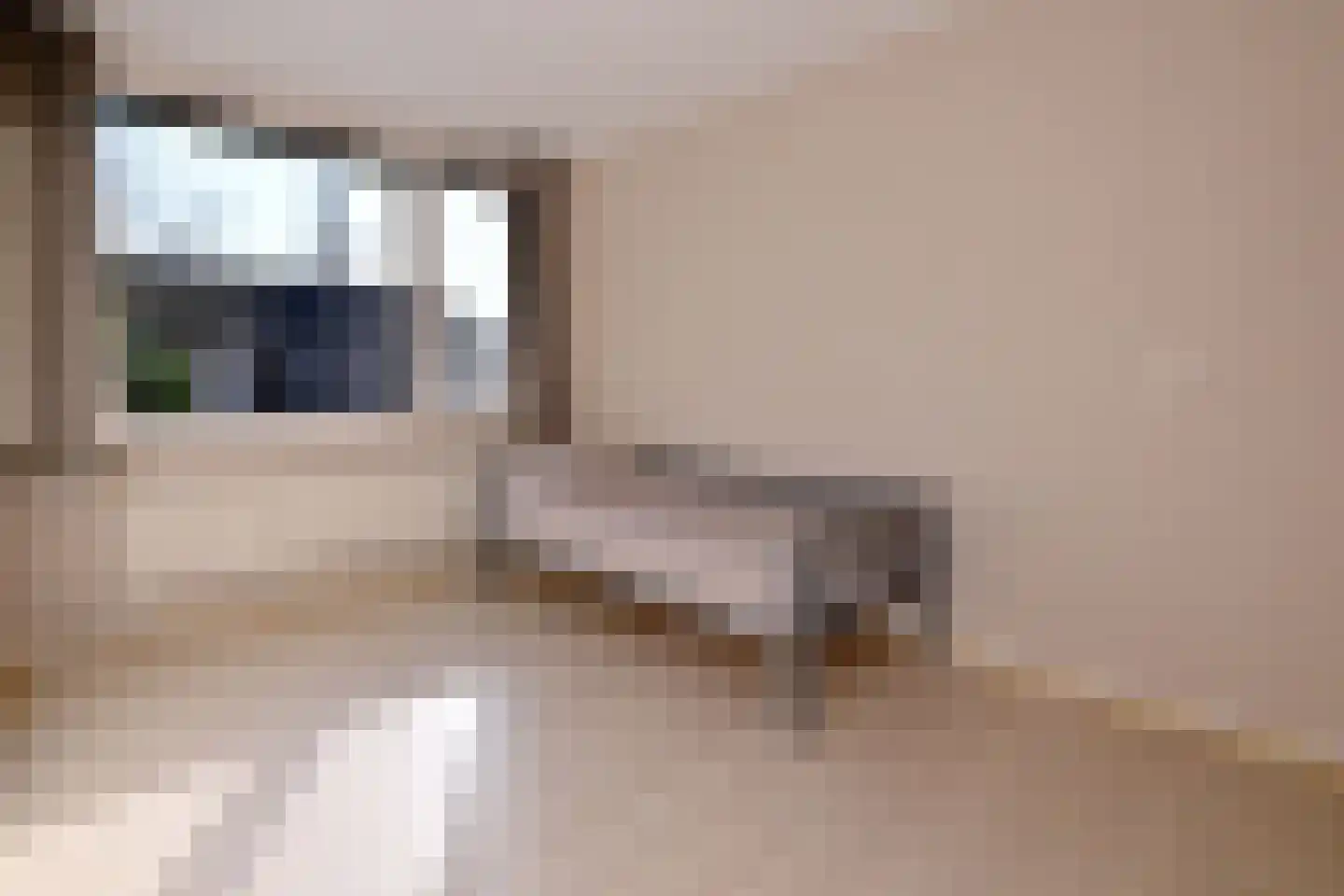 Langs de Wetering 3 Diepenveen thumbnail 18
