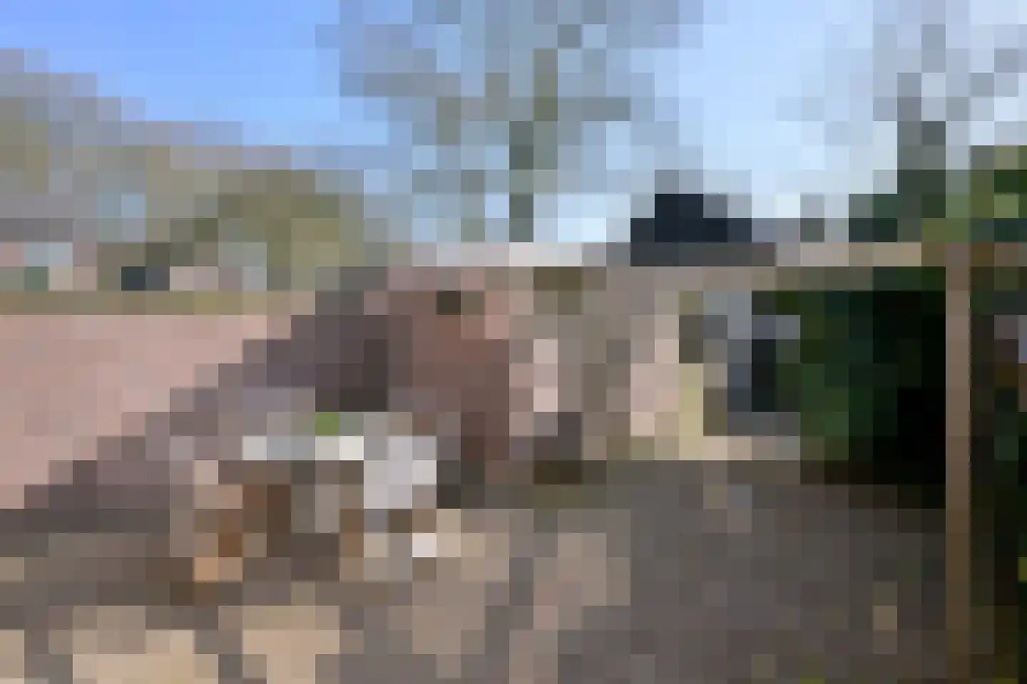 Langs de Wetering 3 Diepenveen thumbnail 28