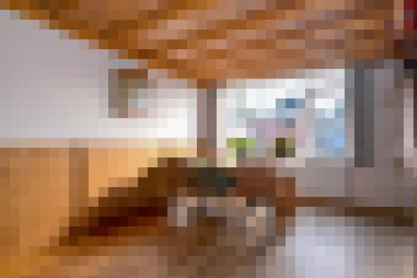 Langs de Wetering 3 Diepenveen thumbnail 8