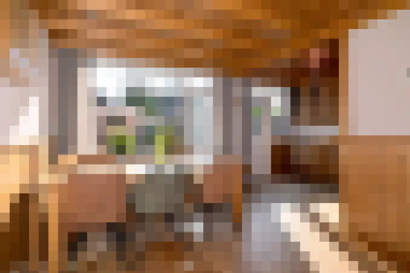 Langs de Wetering 3 Diepenveen thumbnail 9