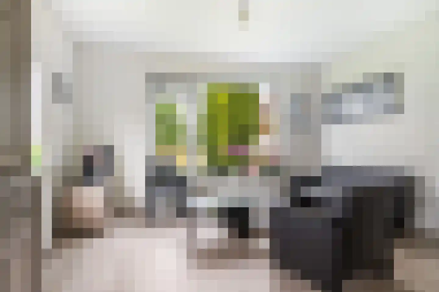 Langschoten 8 Loenen thumbnail 10