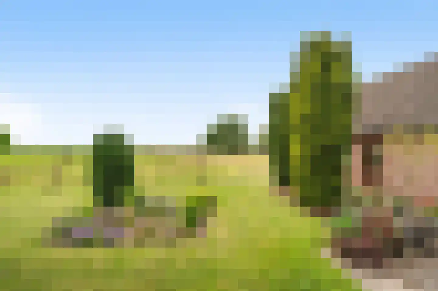 Langschoten 8 Loenen thumbnail 31