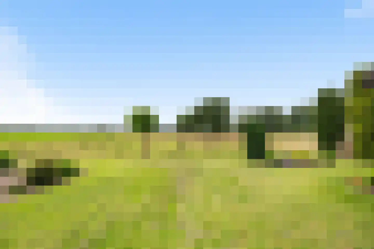 Langschoten 8 Loenen thumbnail 35