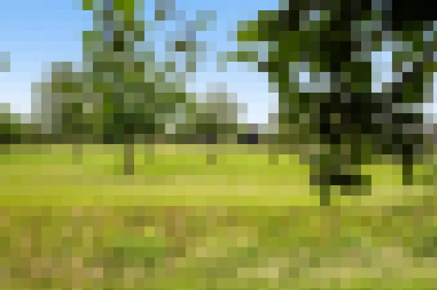 Langschoten 8 Loenen thumbnail 37