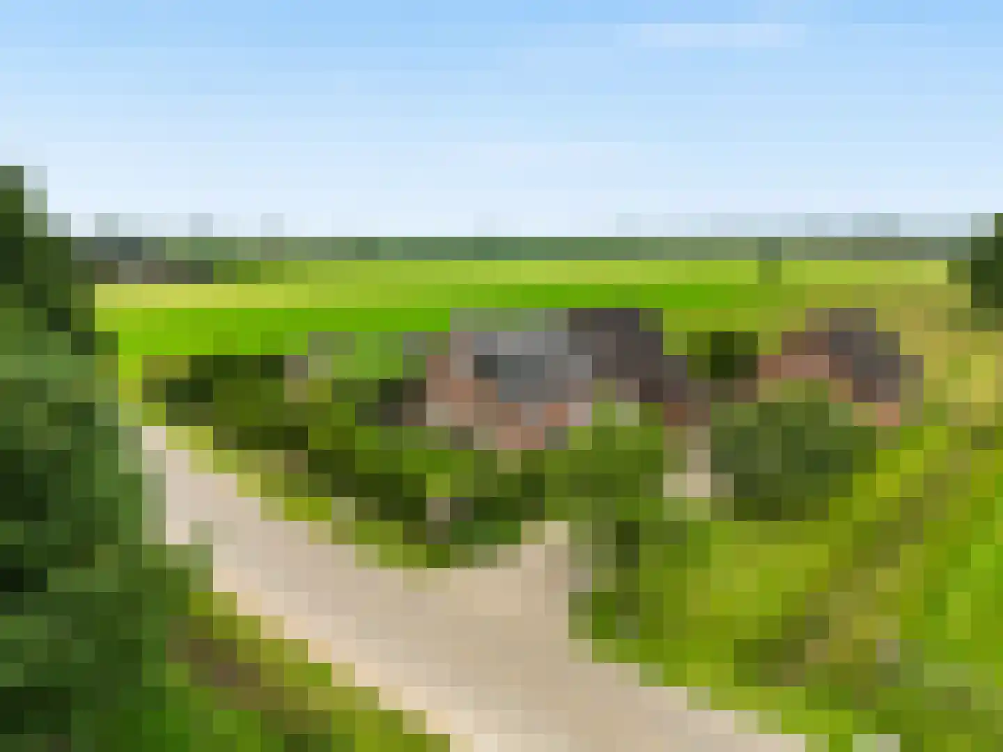 Langschoten 8 Loenen thumbnail 39