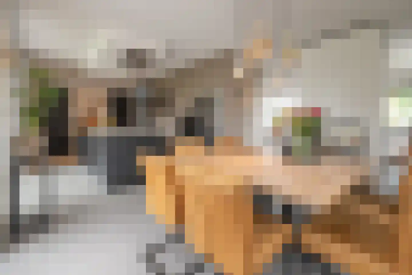 Langshanlaan 13 Barneveld thumbnail 12