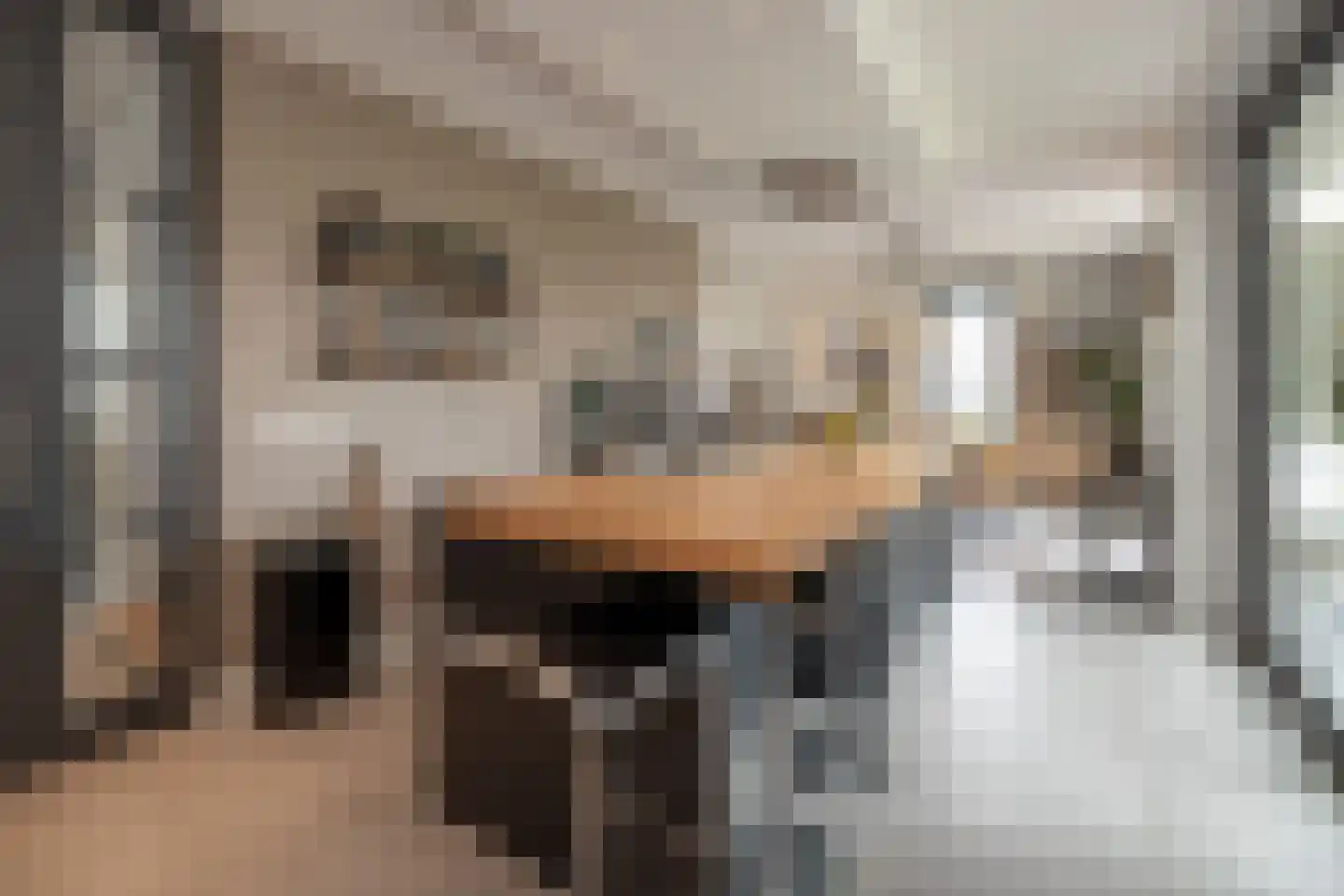 Langshanlaan 13 Barneveld thumbnail 15