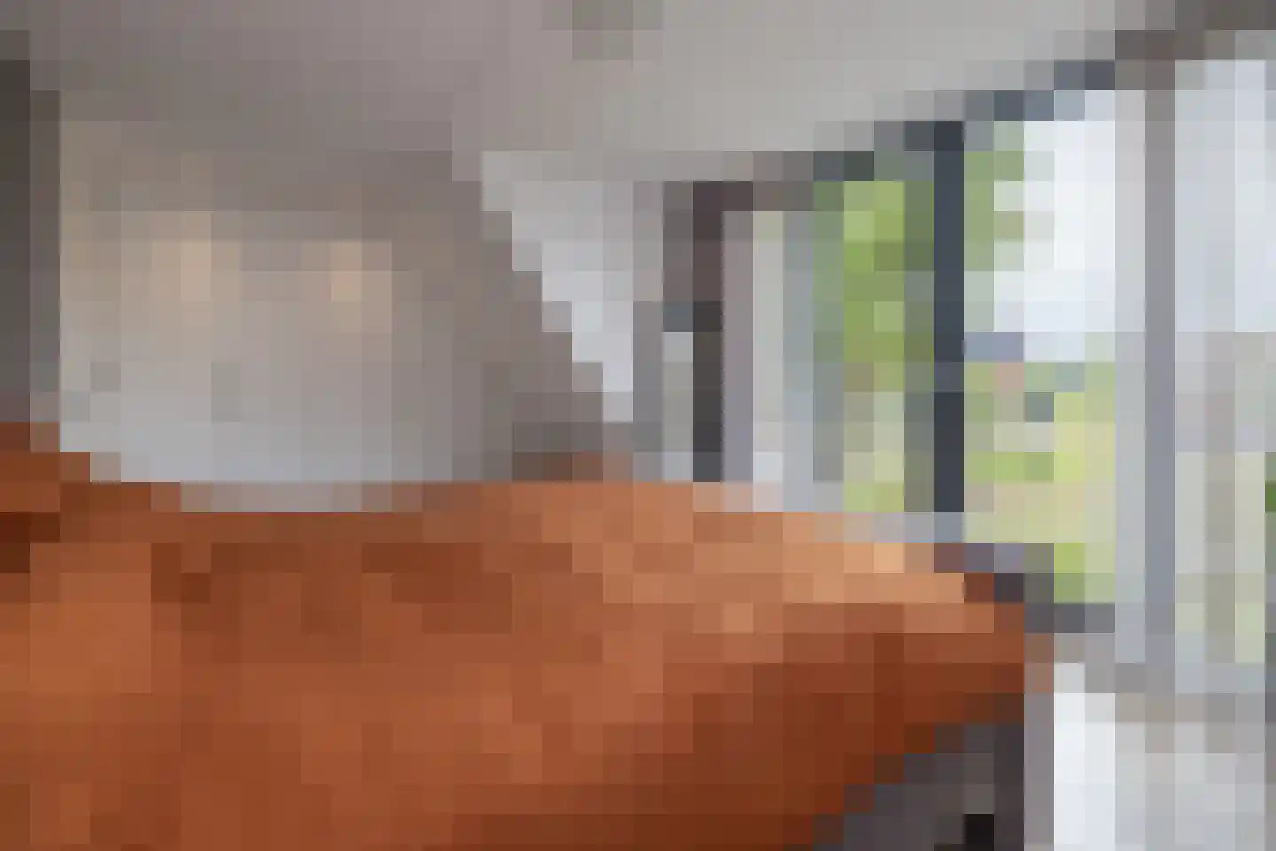 Langshanlaan 13 Barneveld thumbnail 19