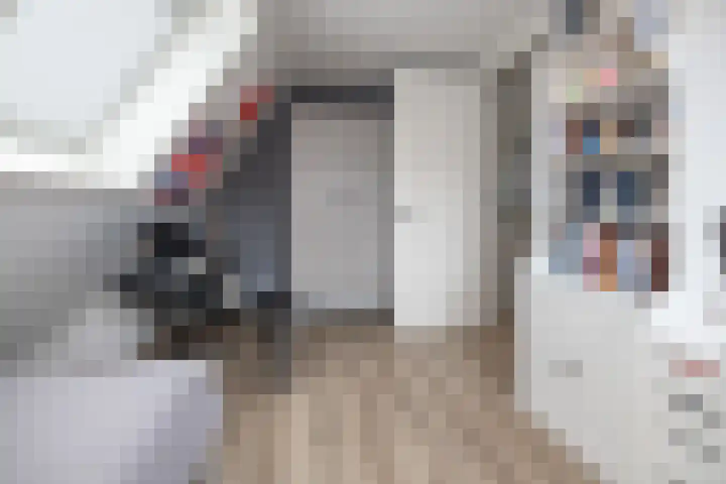 Langshanlaan 13 Barneveld thumbnail 25