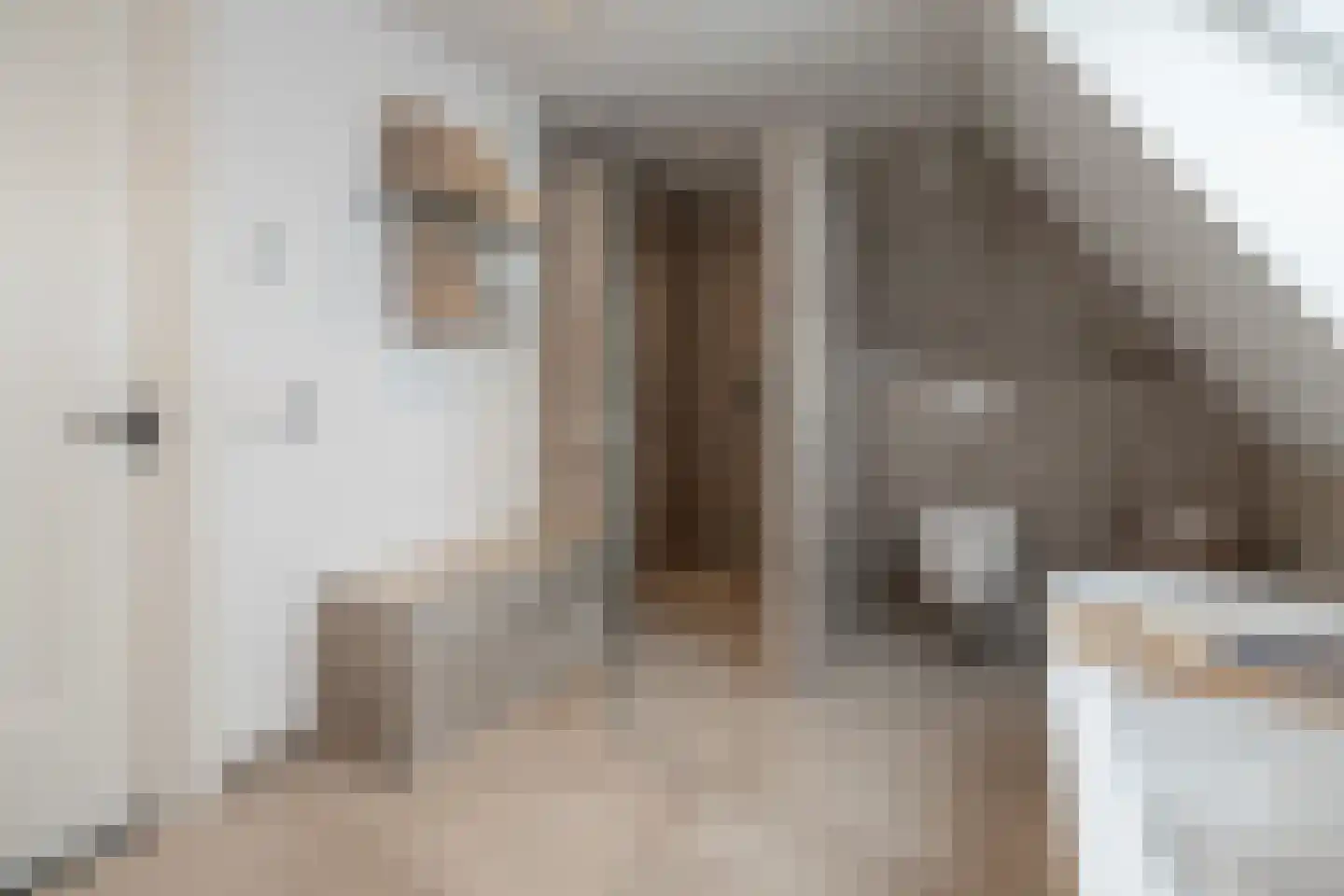 Langshanlaan 13 Barneveld thumbnail 28