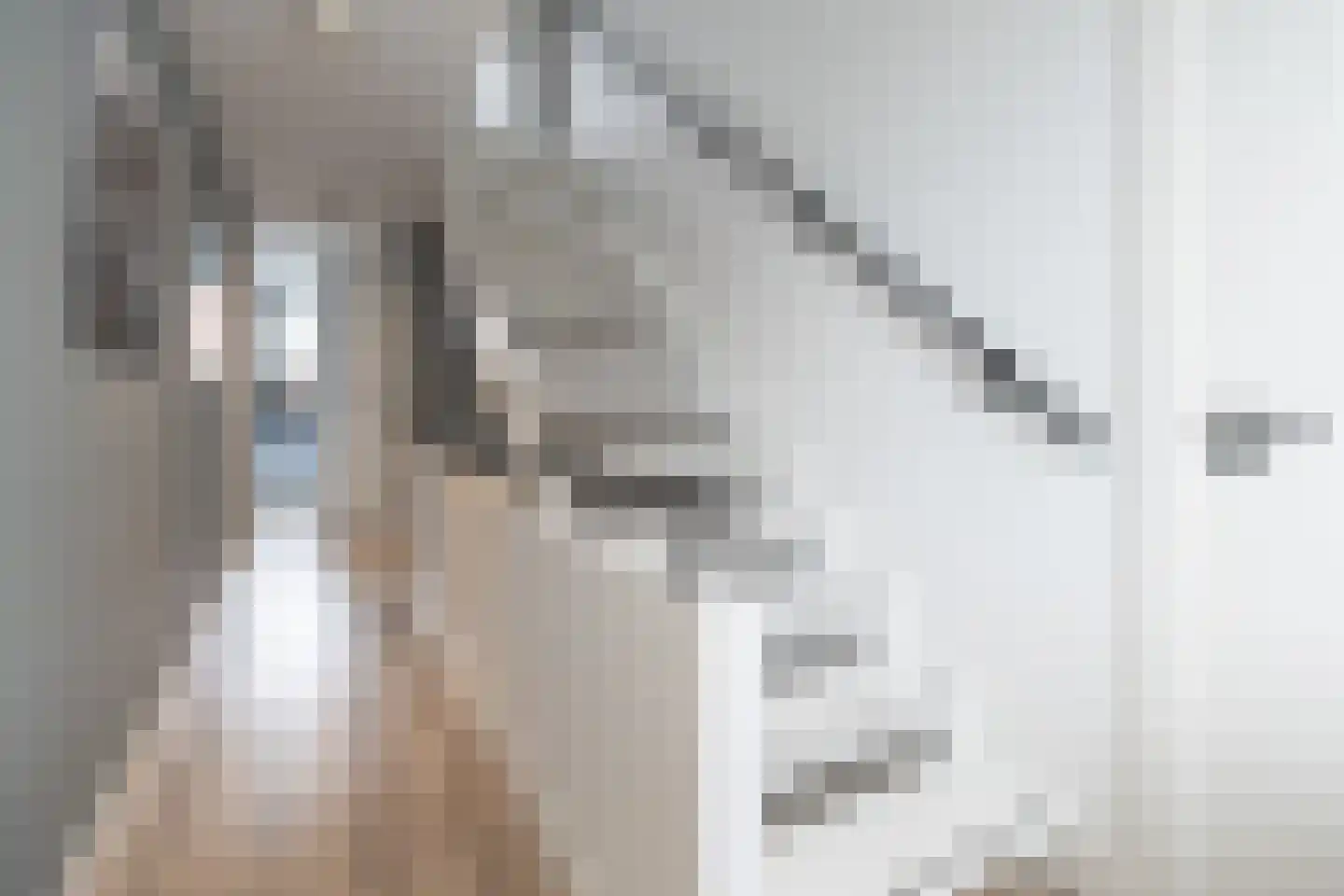 Langshanlaan 13 Barneveld thumbnail 30
