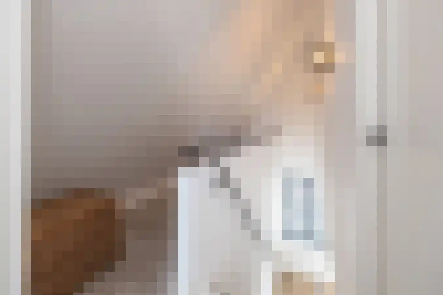 Langshanlaan 13 Barneveld thumbnail 33