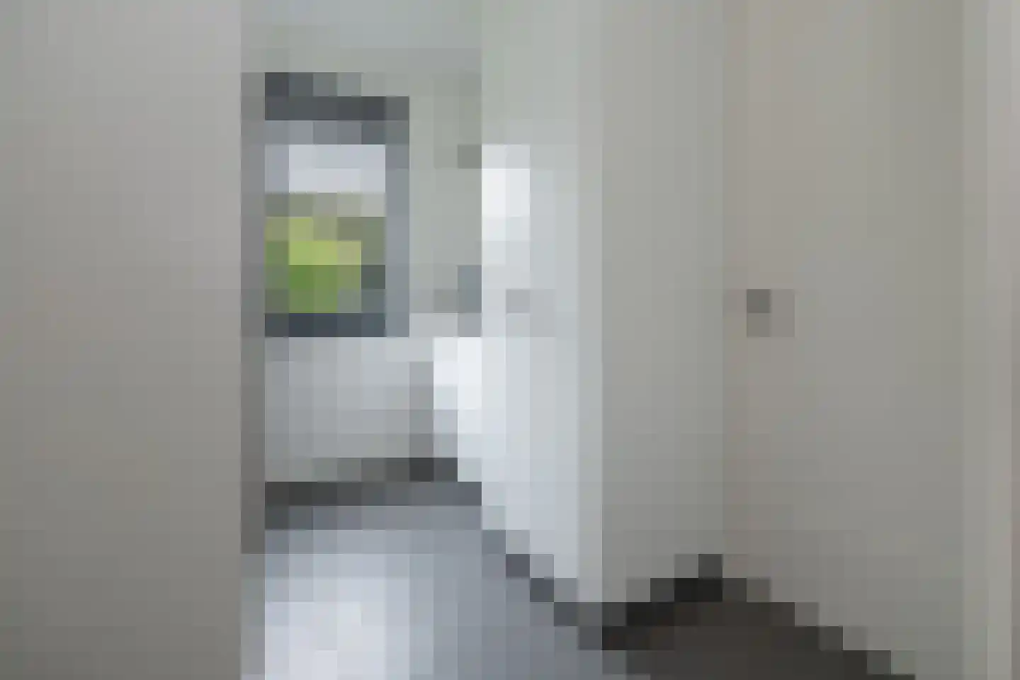 Langshanlaan 13 Barneveld thumbnail 35