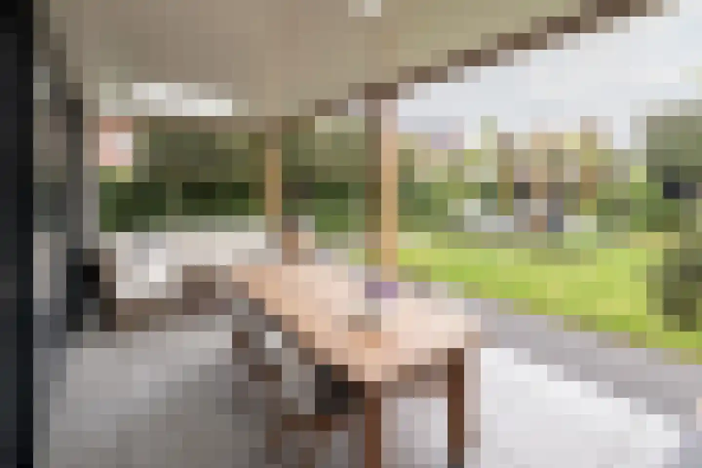 Langshanlaan 13 Barneveld thumbnail 38