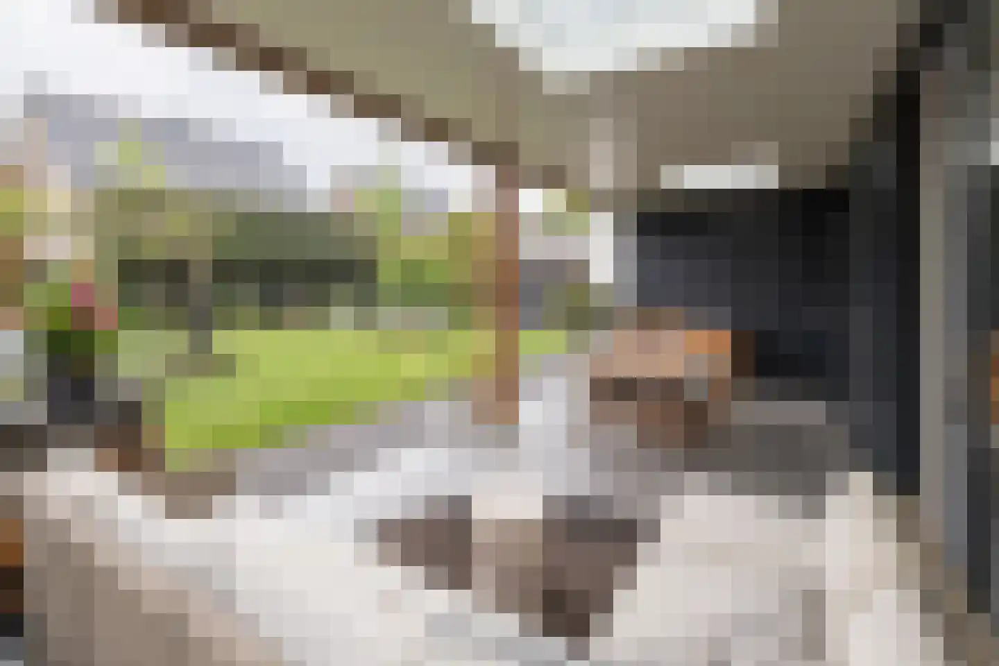 Langshanlaan 13 Barneveld thumbnail 39