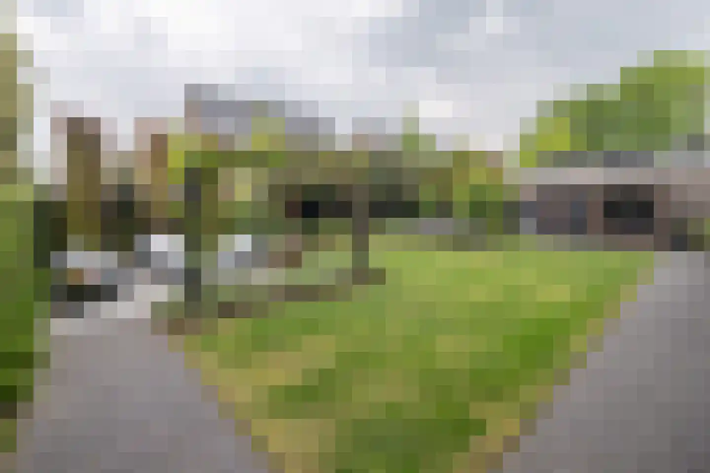Langshanlaan 13 Barneveld thumbnail 42