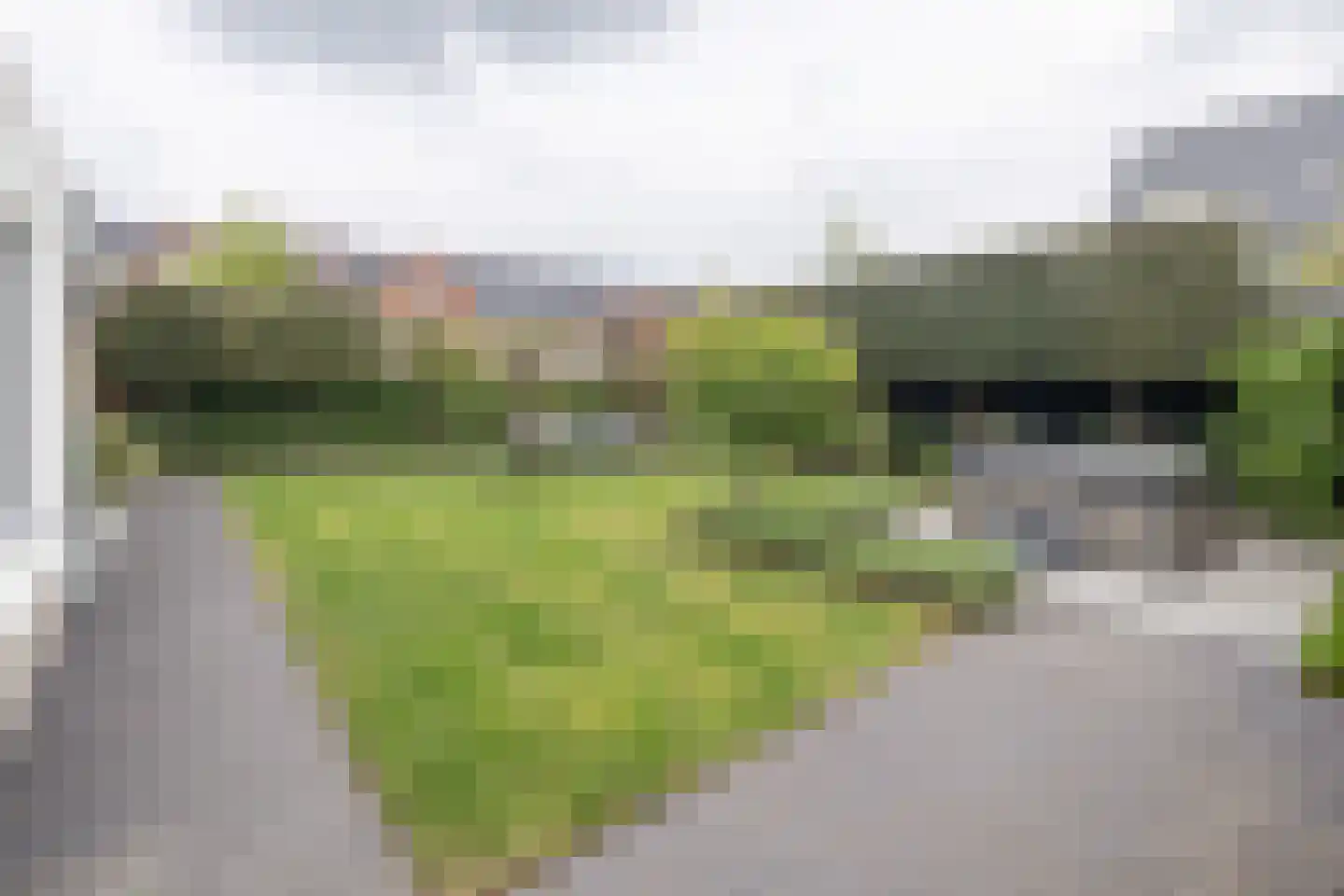 Langshanlaan 13 Barneveld thumbnail 43