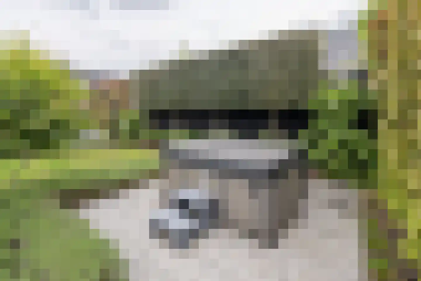 Langshanlaan 13 Barneveld thumbnail 44