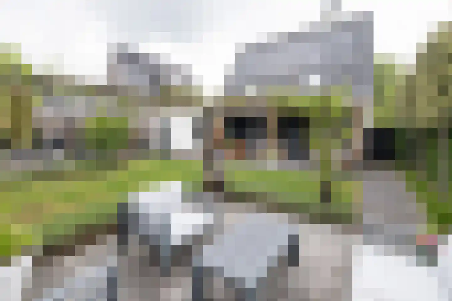 Langshanlaan 13 Barneveld thumbnail 48