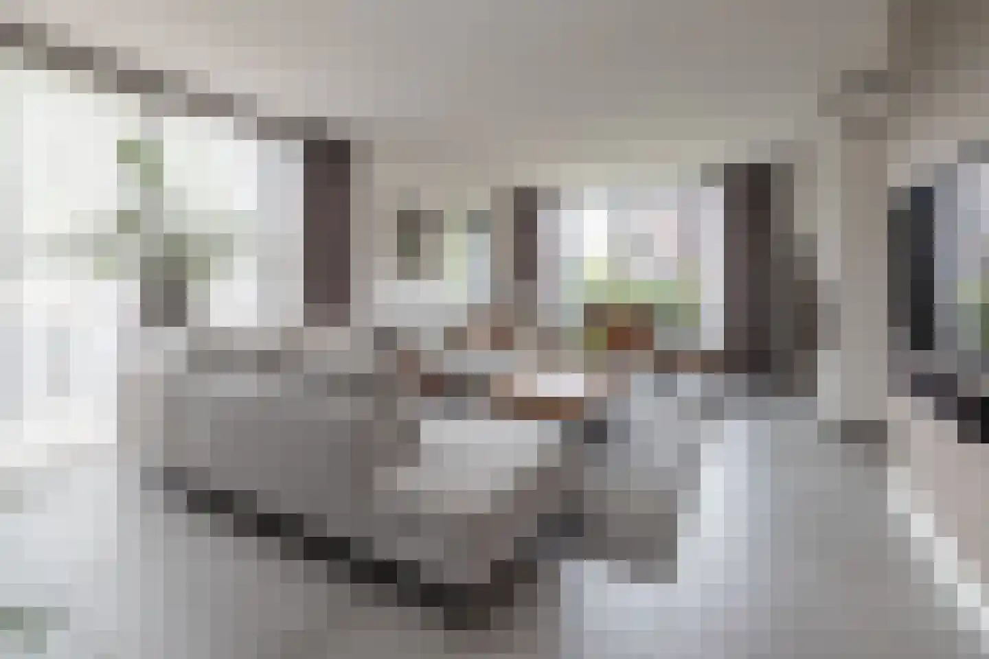 Langshanlaan 13 Barneveld thumbnail 6