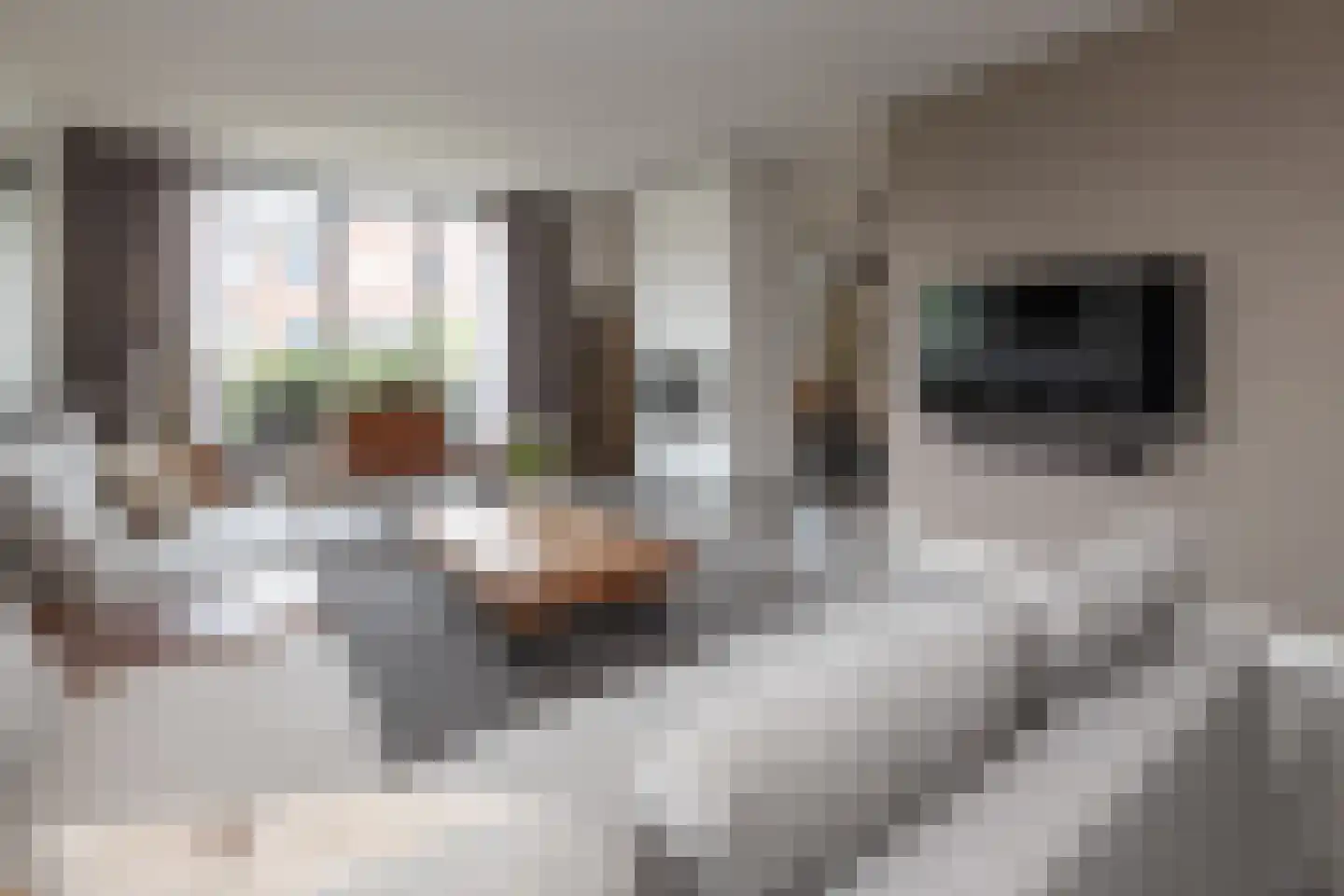 Langshanlaan 13 Barneveld thumbnail 7