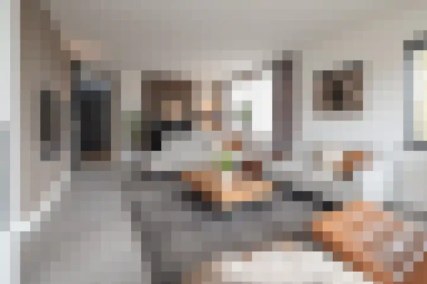 Langshanlaan 13 Barneveld thumbnail 8