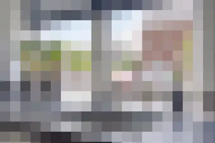 Langshanlaan 27 Barneveld thumbnail 11