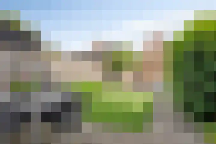 Langshanlaan 27 Barneveld thumbnail 24