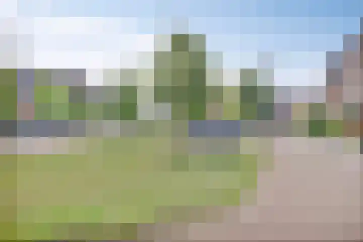 Langshanlaan 27 Barneveld thumbnail 29