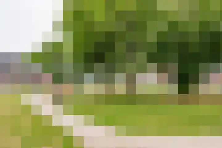 Langshanlaan 27 Barneveld thumbnail 30